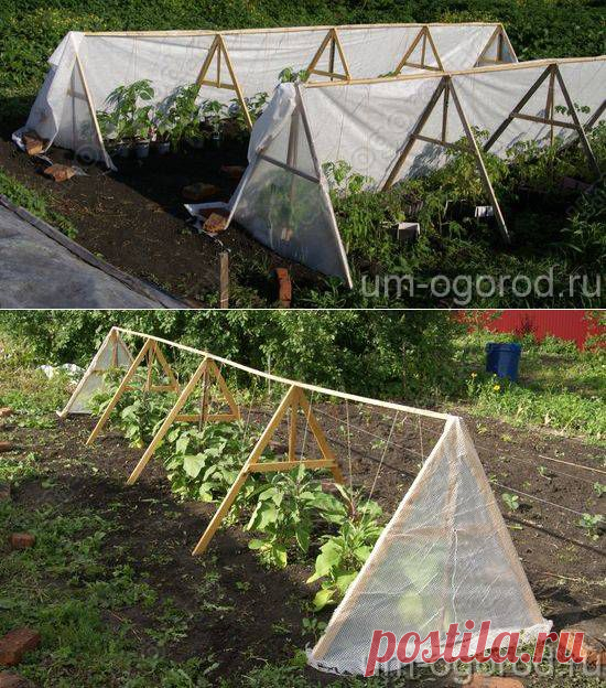 треугольный парник