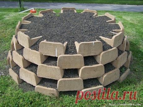 Интересное решение цветника. Идеи декора.