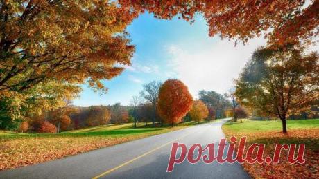 Хотите тишины? Зайдите в Осень…
Здесь тихо, нежно и уютно очень,
Не нужно слов,здесь можно помолчать
Ведь осень - это вечер при свечах.
Мы осени не ждем, не говорим ей
здравствуй,
Она добра,она прекрасна,
Мы входим в осень сердцем
поутру,
Кружимся в танце листьев на ветру.
И вдруг покажется, что все вернется,
Как юность спелая, любовь под солнцем,
Что время - просто некая игра
И жизнь начнется заново с утра.
Но осень пролетит опавшим цветом
И опалит надеждой без ответа,