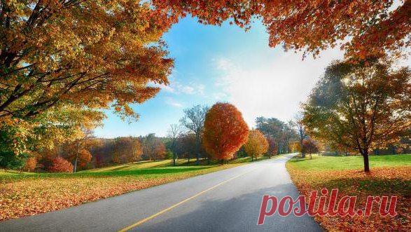 Хотите тишины? Зайдите в Осень…
Здесь тихо, нежно и уютно очень,
Не нужно слов,здесь можно помолчать
Ведь осень - это вечер при свечах.
Мы осени не ждем, не говорим ей
здравствуй,
Она добра,она прекрасна,
Мы входим в осень сердцем
поутру,
Кружимся в танце листьев на ветру.
И вдруг покажется, что все вернется,
Как юность спелая, любовь под солнцем,
Что время - просто некая игра
И жизнь начнется заново с утра.
Но осень пролетит опавшим цветом
И опалит надеждой без ответа,