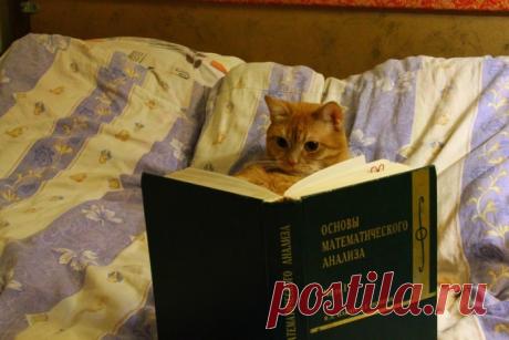 Легкомысленные цитаты о жизни