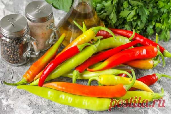 Делала заготовки на зиму и обожглась горьким перцем: свекровь сразу же подсказала, что нужно делать - 4eva