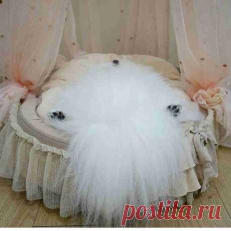 [Изображение] Я не могу чувствовать свою энергию вообще. Я торчаю анимированное изображение wwwwwww: 【2ch】 Новое качество скорости