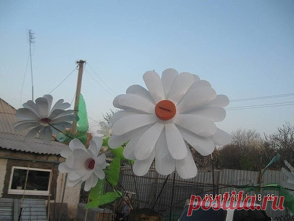 Ромашки из пластиковых бутылок