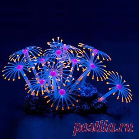 (10) Pinterest