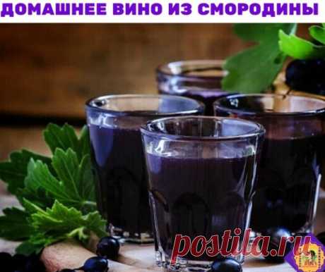 Домашнее вино из черной смородины

Ингредиенты
Смородина — 3 кг
Вода — 5 л
Сахар — 2 кг
Приготовление
Первый этап — подготовить сырье. Мыть смородину нельзя, иначе можно случайно удалить природные дрожжи и сусло не забродит. Просто переберите ягоды, удаляя порченые, а затем тщательно передавите смородину руками или скалкой.
Растворите 1,5 кг сахара в воде и залейте смородину жидкостью. Для брожения выбирайте емкость побольше, так как она не должна быть заполнена более, чем...