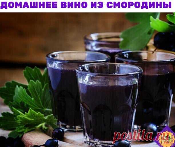Домашнее вино из черной смородины

Ингредиенты
Смородина — 3 кг
Вода — 5 л
Сахар — 2 кг
Приготовление
Первый этап — подготовить сырье. Мыть смородину нельзя, иначе можно случайно удалить природные дрожжи и сусло не забродит. Просто переберите ягоды, удаляя порченые, а затем тщательно передавите смородину руками или скалкой.
Растворите 1,5 кг сахара в воде и залейте смородину жидкостью. Для брожения выбирайте емкость побольше, так как она не должна быть заполнена более, чем...
