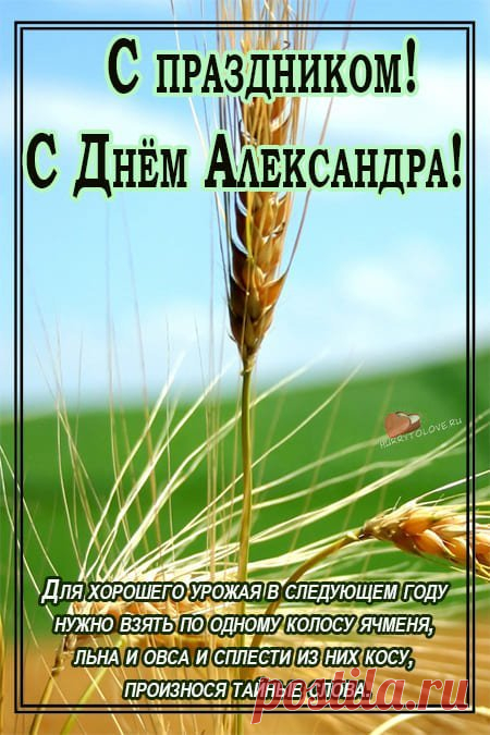 Вряд ли найдётся человек, который не слышал о князе Александре, прозванном Невским за победы над Ливонским орденом и шведами в сражениях на берегах Невы (1240 г.). Он занимает лидирующее место среди защитников русской земли и Православной веры. Церковь причислила князя к лику святых.