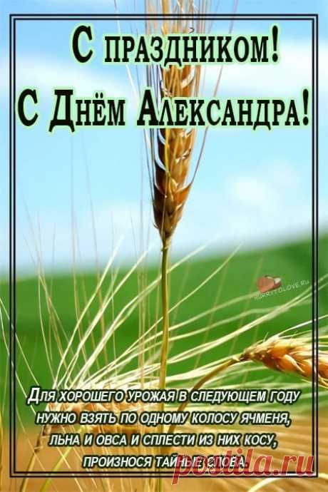 Вряд ли найдётся человек, который не слышал о князе Александре, прозванном Невским за победы над Ливонским орденом и шведами в сражениях на берегах Невы (1240 г.). Он занимает лидирующее место среди защитников русской земли и Православной веры. Церковь причислила князя к лику святых.
