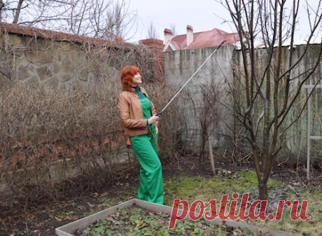 Что подготовить для ранневесеннего опрыскивания сада
Если летом вы хотите собирать со своих грядок богатые урожаи фруктов и овощей, то уже с ранней весны придется позаботиться о том, чтобы сократить количество болезней и вредителей. Упустите время – ур…