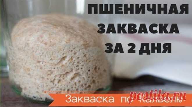 САМАЯ БЫСТРАЯ ПШЕНИЧНАЯ ЗАКВАСКА по Калвелю за 2,5 дня или 60 часов // РЕЦЕПТ РАЙМОНДА КАЛВЕЛЯ