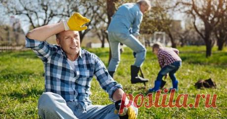 Чего не нужно делать в саду весной – 10 главных ошибок начинающих садоводов Наступление календарной весны пробуждает в садоводах неистовое желание немедленно бежать на участок и что-то делать. Быстрей, быстрей, весенний день год кормит… Остановитесь на миг и задумайтесь – возможно, именно сейчас вы вредите своим посадкам.