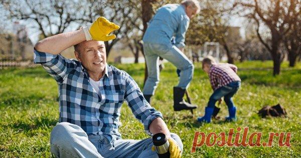 Чего не нужно делать в саду весной – 10 главных ошибок начинающих садоводов Наступление календарной весны пробуждает в садоводах неистовое желание немедленно бежать на участок и что-то делать. Быстрей, быстрей, весенний день год кормит… Остановитесь на миг и задумайтесь – возможно, именно сейчас вы вредите своим посадкам.