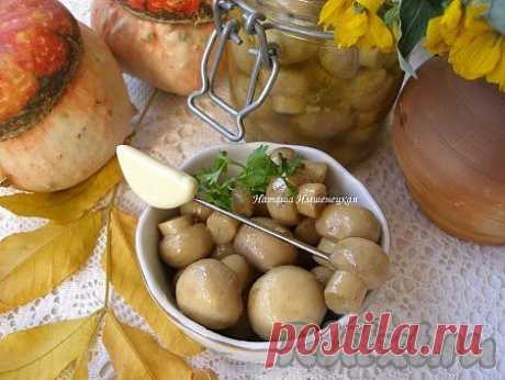 Быстрые маринованные шампиньоны (рецепт с фото) | RUtxt.ru
