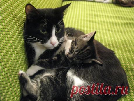 умаялся за день