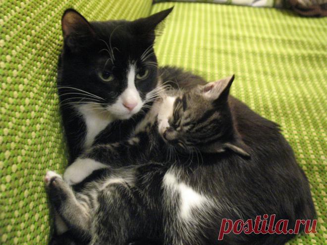 умаялся за день