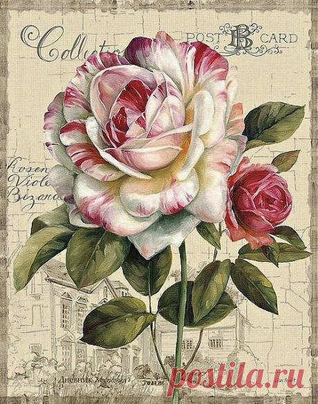 Hanneke Verstraate приколол(а) это к доске PRINT.......♥