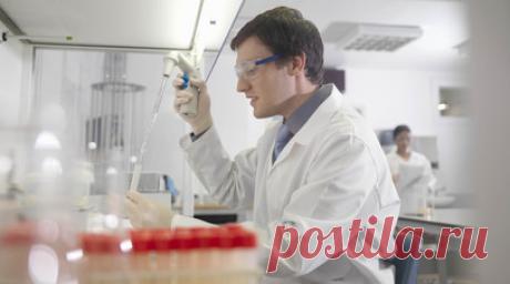 «Для разработки новых подходов к терапии»: учёные выяснили связь между нехваткой кислорода и развитием онкологии. Российские учёные определили, что устойчивость организма к нехватке кислорода — гипоксии — помогает предотвращать развитие рака кишечника, а также тормозит рост уже возникшей опухоли. И напротив, организмы, плохо переносящие гипоксию, имеют повышенную склонность к онкологии кишечника. Такие выводы были получены в результате опытов на лабораторных мышах. Так, у чувствительных к…