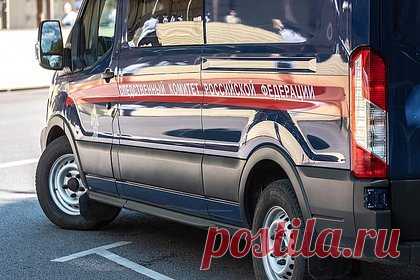 Следователи задержали россиянку за расправу над братом