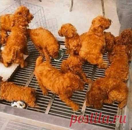 Мой голодный мозг подумал, что это курочка