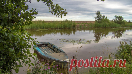 Фото от Photomonstr на Fonwall Скачайте фотографию от Photomonstr бесплатно на Fonwall