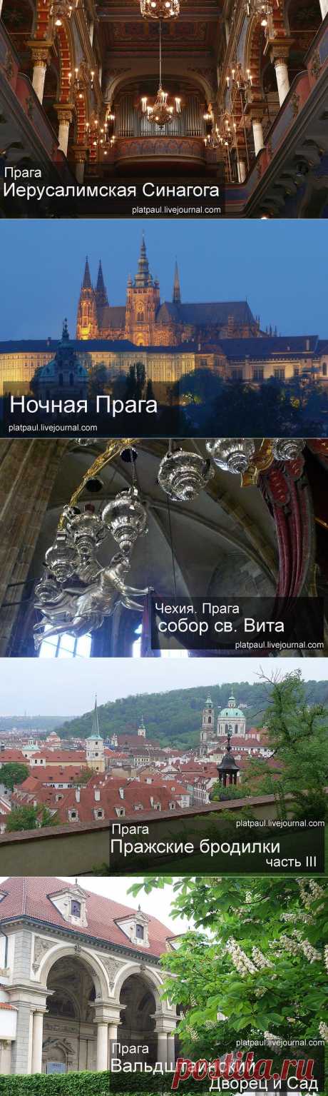 ФотоПутешествия с Паулем )