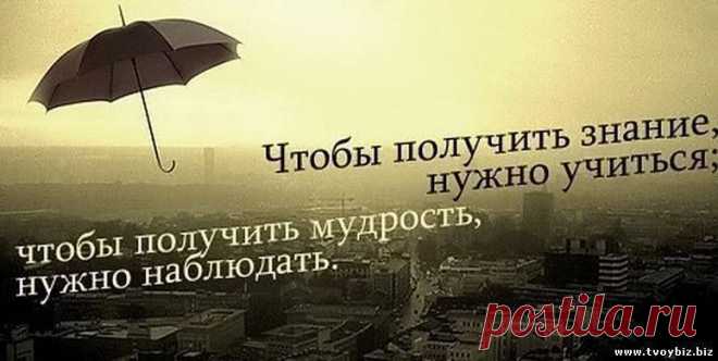1402570907-767293-21019.jpg (774×389)