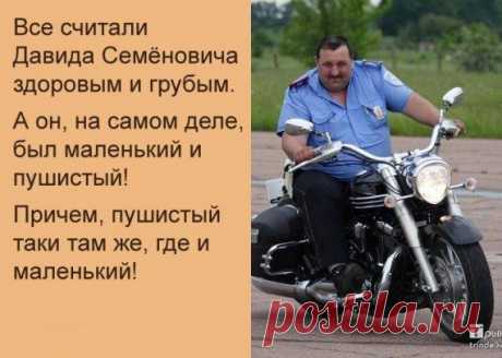 Так говорят в Одессе / Приколы