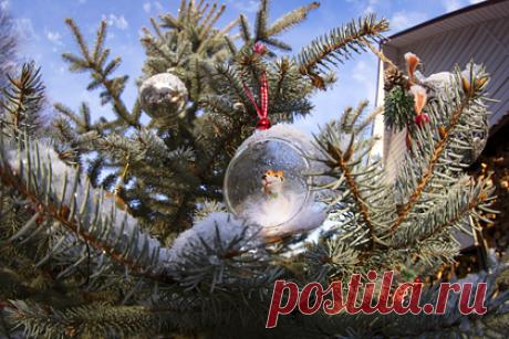 В России подорожал «новогодний набор». В России стоимость «новогоднего набора» в ноябре увеличилась на 19 процентов в годовом выражении — почти до 5 тысяч рублей. К такому выводу пришли аналитики ресурса «Чек Индекс» оператора фискальных данных «Платформа ОФД». В набор входят искусственная ель, елочные шары, звезда на верхушку елки, гирлянды и мишура.