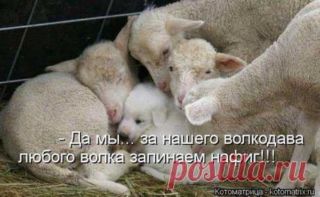 Предупреждаем.....мы за него  в огонь и в воду.....