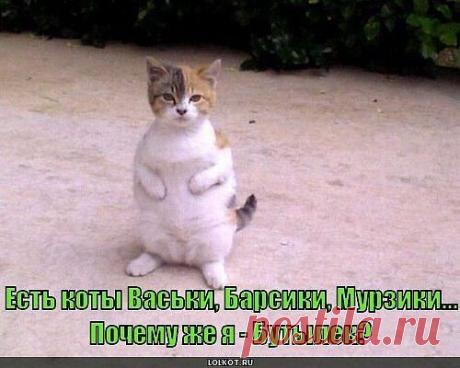 Интересные новости