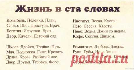 Жизнь в 100 словах