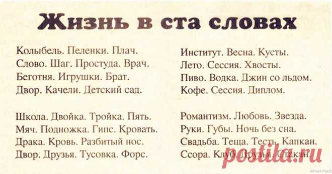 Жизнь в 100 словах