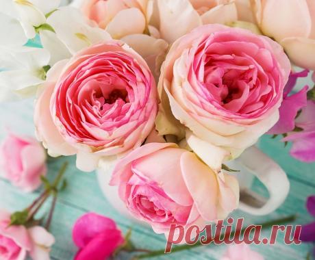 Моё настроение&gt;Весеннее...