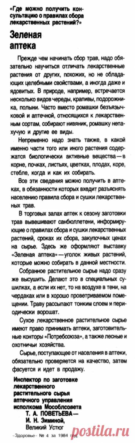 О правилах сбора лекарственных растений