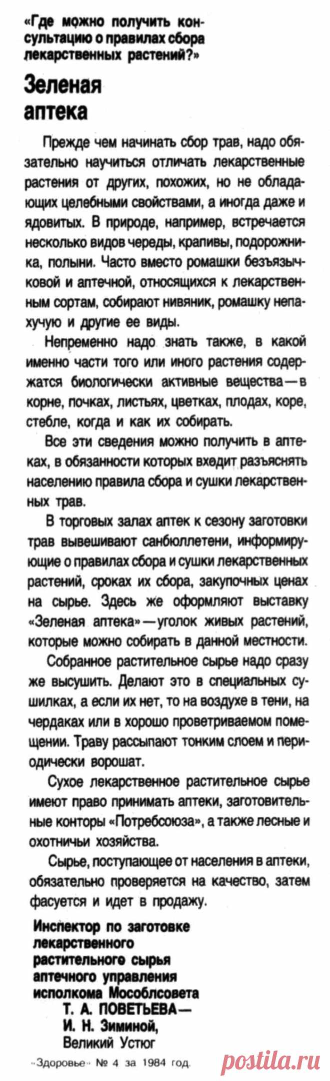 О правилах сбора лекарственных растений