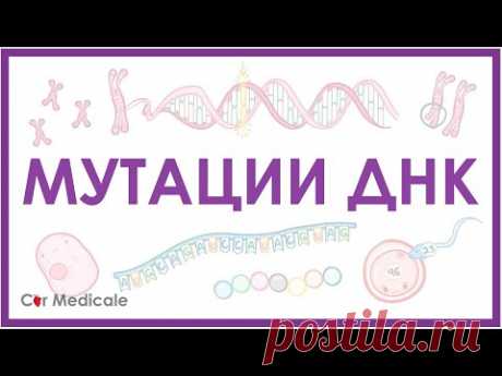 Мутации ДНК - генные, хромосомные, геномные | делеция, транслокация, инверсия - кратко