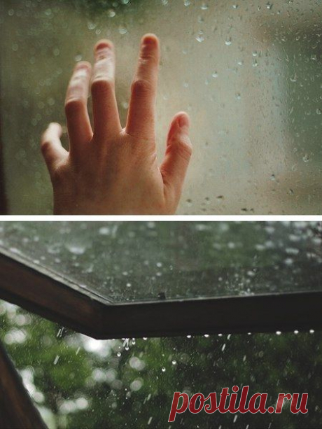 Утешает только самое простое. Вода, дыхание, вечерний дождь. Только тот, кто одинок, понимает это.