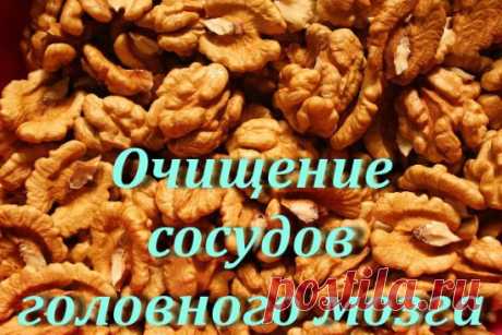 Очищение сосудов головного мозга