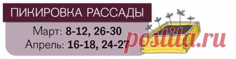 (77) Одноклассники