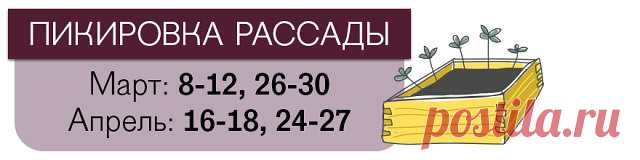 (77) Одноклассники