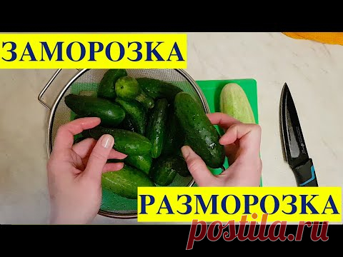 Заморозка огурцов + Разморозка огурцов! Мой отзыв