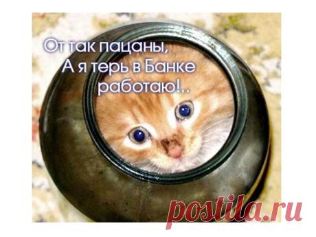 Хотите зарабатывать, не выходя из дома, по свободному графику? В нашем проекте Faberlic online вы действительно сможете получать доход, который зависит лишь от вашего усердия! Подработка плавно перерастает в основной быстрорастущий, а затем и пассивный доход. Все легально и официально: трудоустройство, налоговые и пенсионные отчисления. Подробности здесь https://fl-online.umi.ru