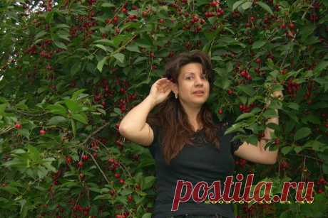 Прогулки по Праге на общественном транспорте и пешком без проф.экскурсий, но с рассказами, показами, фотосессией и ответами на все вопросы - 20 евро/час с чел. либо 100 евро/день за компанию от 2 человек: встреча и проводы к Вам в отель, квитанция об оплате перед выездом на прогулку.