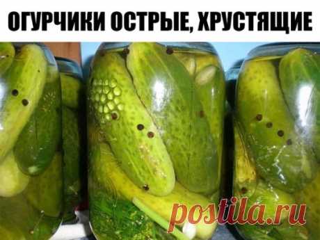 Огурчики острые, хрустящие
Ингредиенты
Укроп зонтиком - 1.5 шт.
Огурец - 1800 кг
Чеснок - 4 зуб.
Лист лавровый - 2 шт.
Перец черный горошком - 6 шт.
Смородина (листья) - 4 шт.
Вишневые листочки - 4 шт.
Корень хрена - 1 шт.
Уксус 9%-ный - 2 ст.л.
Для рассола:
Соль - 2 ст.л.
Вода - 1500 л
Сахар - 1 ст.л.
Жгучий перец - 0.3 шт.
Огурчики плотно уложи в банку, чередуя специями. Хрен (корень или листья) – пара нарезанных кружков или 1 средний листочек.
Залей кипятком, дай постоять 10-15 минут. Сле