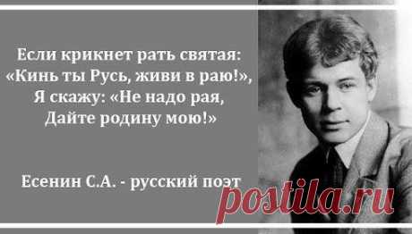 (56) Одноклассники