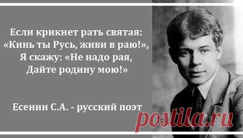 (56) Одноклассники