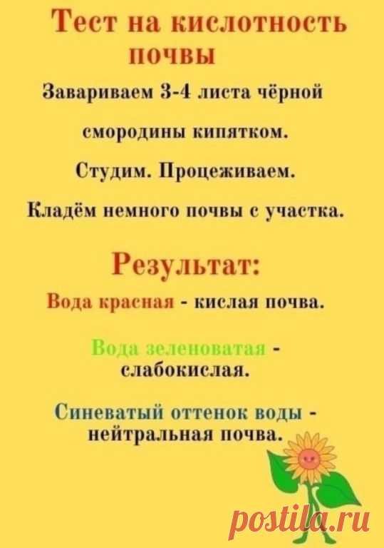 Тест на киcлотность почвы, который можно провести... | Интересный контент в группе По секрету всему Свету!