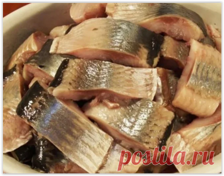 Селёдка по-голландски в банке: уже не раз готовлю эту вкусноту, но всегда мало получается! - Ваши любимые рецепты - медиаплатформа МирТесен