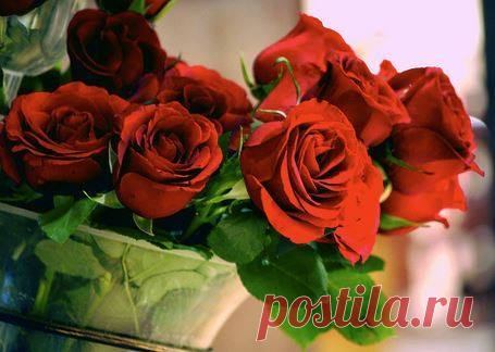 В чём сила? В равновесии души, В неторопливости спокойного решения, Когда без спешки и ненужной суеты Приходит правильное, верное решение. Уравновешенность двух чашек на весах, По центру стрелка – «золотая середина», Уверенность, а не коварный страх Перед казавшейся проблемой нерешимой. В чём